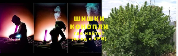первитин Дмитриев