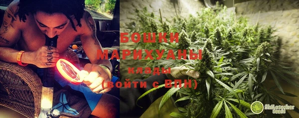 первитин Дмитриев