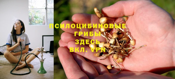 первитин Дмитриев
