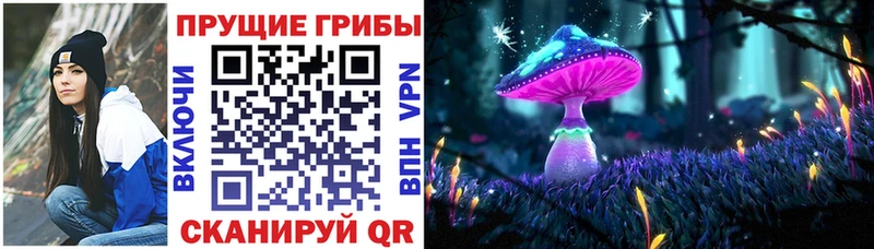 Галлюциногенные грибы Psilocybe  Купить  Таганрог 